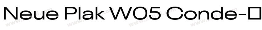 Neue Plak W05 Conde字体转换